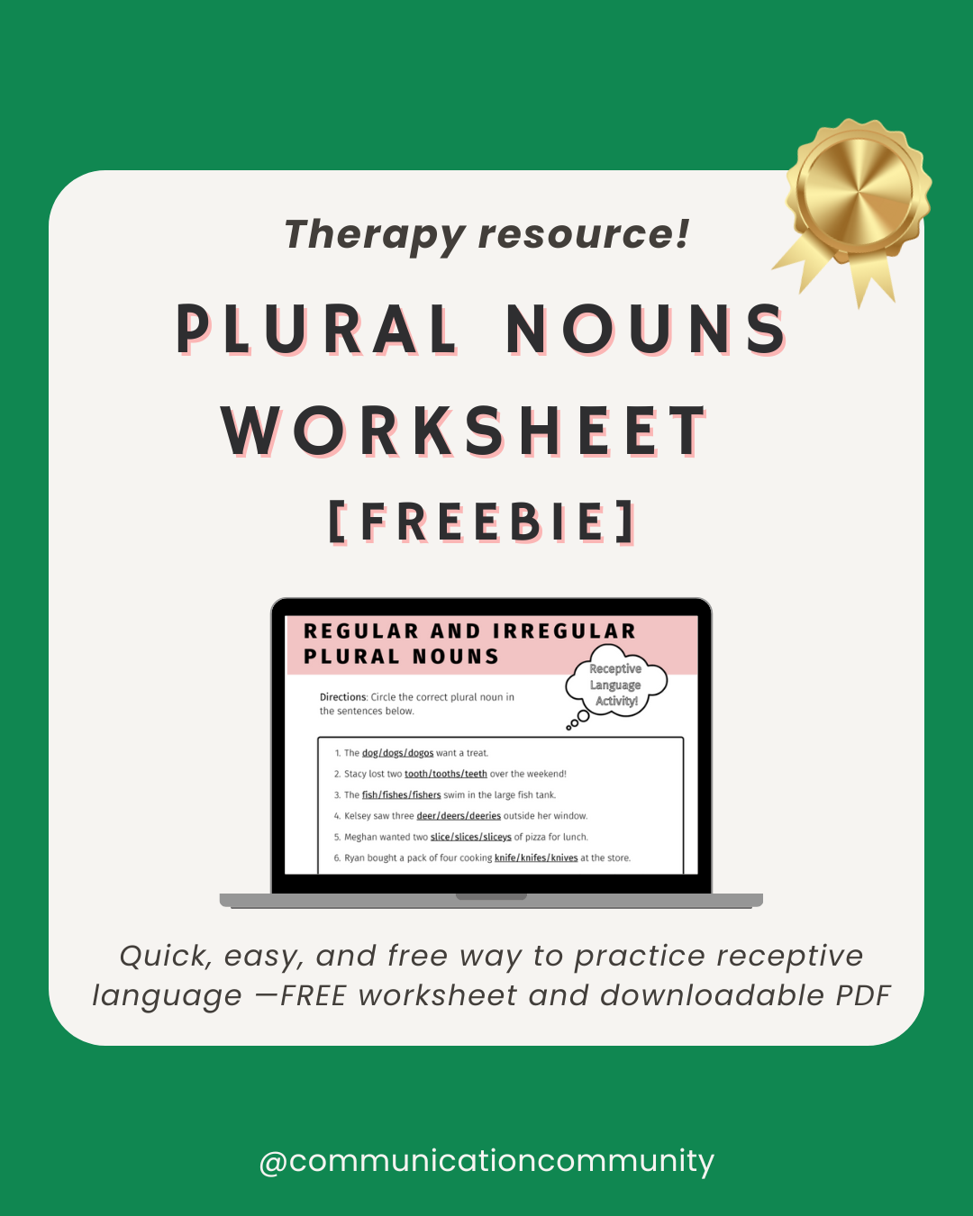 Plural Nouns Worksheet: a Receptive Language Activity